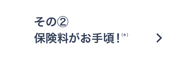 その2：保険料がお手頃！(*)